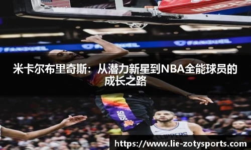 中欧体育