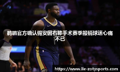 中欧体育