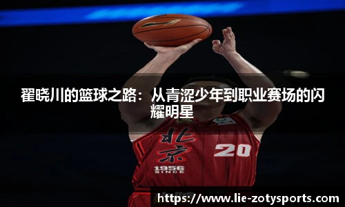 中欧体育zoty网址
