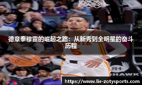 中欧体育zoty